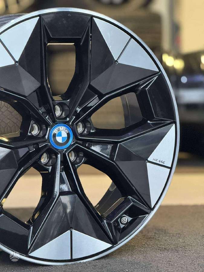 BMW X3/X4/iX3 ORIGINALŪS NR.666